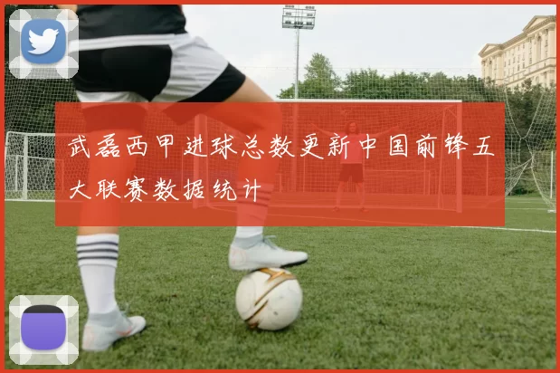 武磊西甲进球总数更新中国前锋五大联赛数据统计