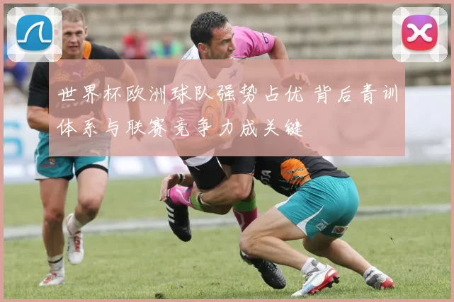 世界杯欧洲球队强势占优 背后青训体系与联赛竞争力成关键