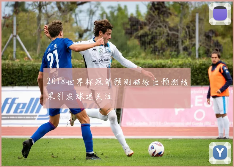 2018世界杯冠军预测猫给出预测结果引发球迷关注