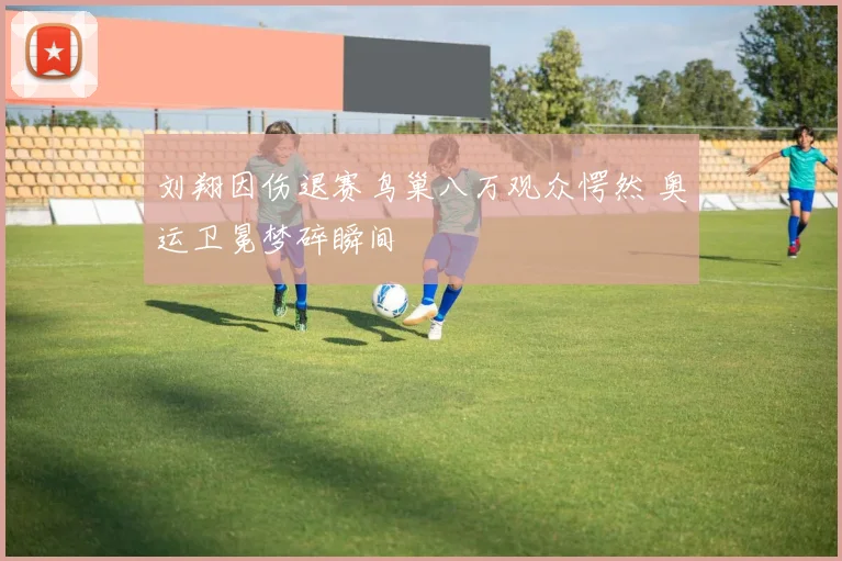 刘翔因伤退赛鸟巢八万观众愕然 奥运卫冕梦碎瞬间