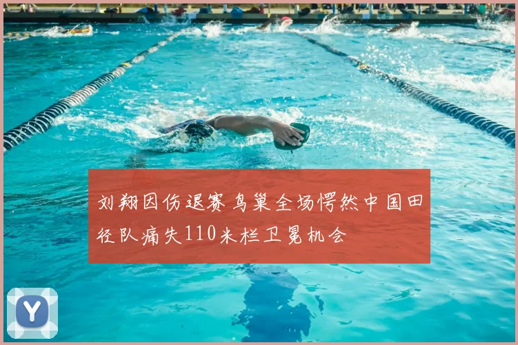 刘翔因伤退赛鸟巢全场愕然中国田径队痛失110米栏卫冕机会